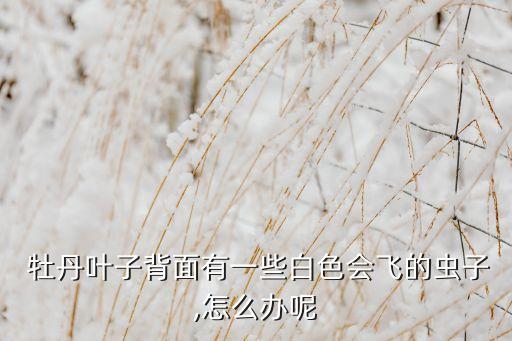 牡丹用什么農藥來殺蟲,蔬菜打什么農藥殺蟲