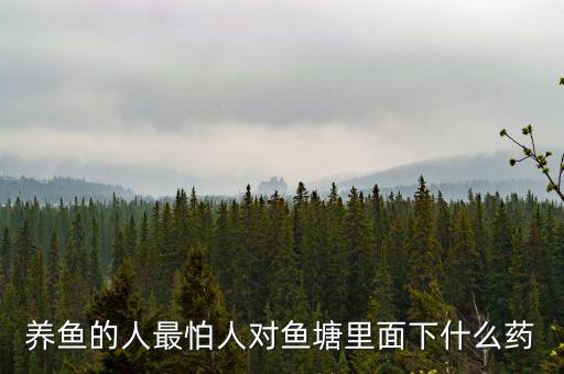 養魚的人最怕人對魚塘里面下什么藥