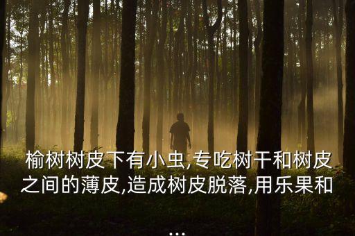 榆樹干蛀蟲用什么農(nóng)藥治,桃子蛀蟲用什么農(nóng)藥