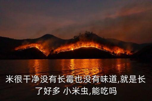 米很干凈沒有長霉也沒有味道,就是長了好多 小米蟲,能吃嗎
