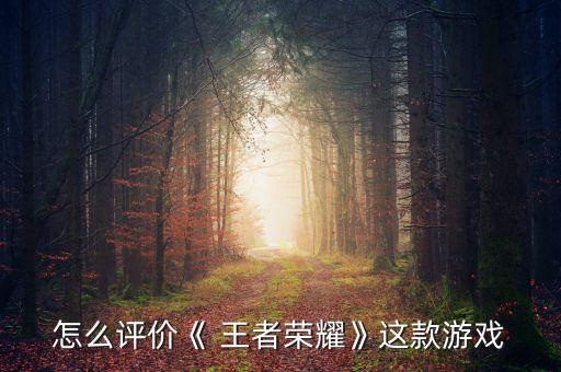 怎么評價《 王者榮耀》這款游戲