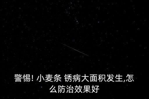 警惕! 小麥條 銹病大面積發生,怎么防治效果好