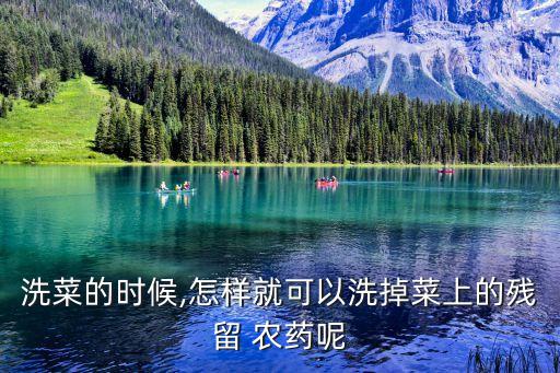 什么藥水能去農(nóng)藥,用什么浸泡去農(nóng)藥