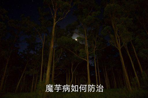 魔芋病如何防治
