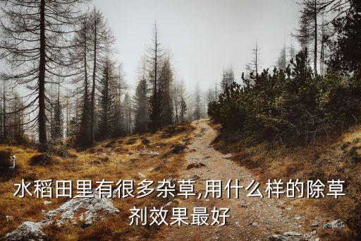 秧苗用什么農藥最好,秧苗期間噴什么農藥好