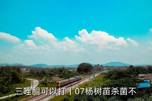 三唑酮可以打丨07楊樹苗殺菌不