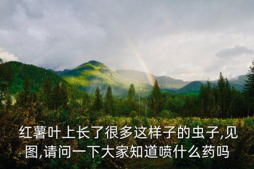 紅薯葉用什么農藥好點,什么樣的紅薯沒農藥