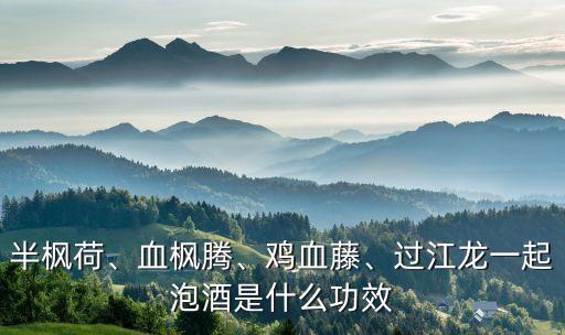 半楓荷、血楓騰、雞血藤、過江龍一起泡酒是什么功效