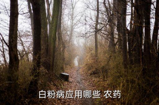 白色的農藥是什么,DDT是什么農藥