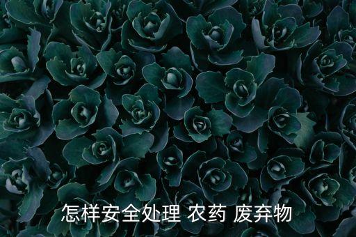 廢棄農藥瓶能做什么用途,廢棄的可口可樂瓶可以做什么