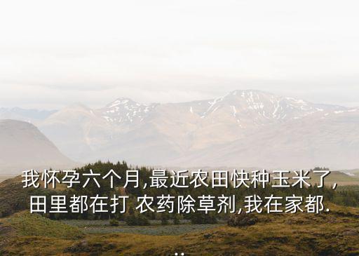 我懷孕六個月,最近農田快種玉米了,田里都在打 農藥除草劑,我在家都...