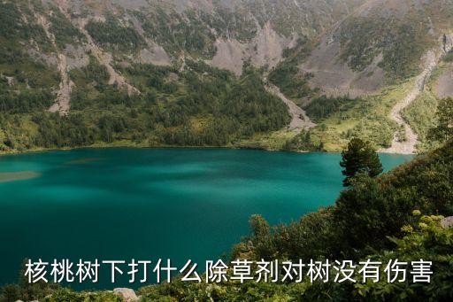 核桃樹下打什么除草劑對樹沒有傷害