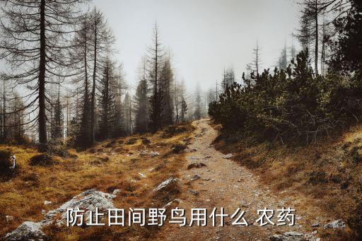 防止田間野鳥(niǎo)用什么 農(nóng)藥