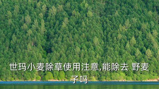 野麥什么時間打農藥