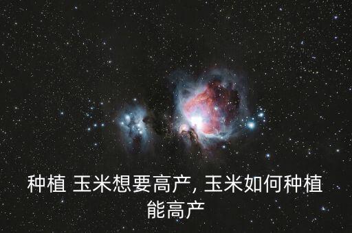 玉米打什么農(nóng)藥能增產(chǎn)多少,玉米一般打什么農(nóng)藥