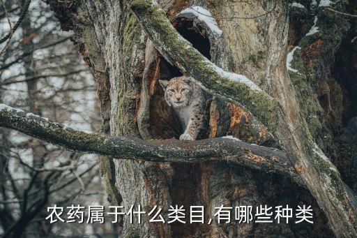 農(nóng)藥屬于什么類目,有哪些種類