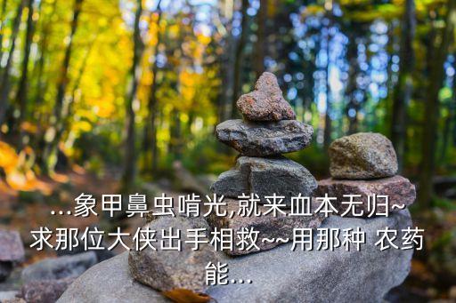 菜蟲用什么農(nóng)藥殺比較好?,什么農(nóng)藥可殺水象甲