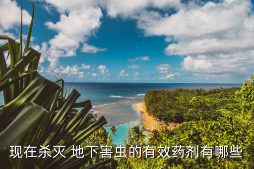 現在殺滅 地下害蟲的有效藥劑有哪些