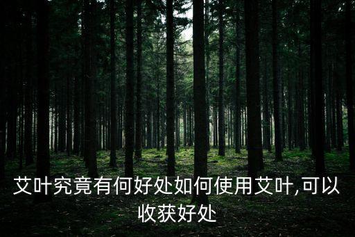 艾葉究竟有何好處如何使用艾葉,可以收獲好處