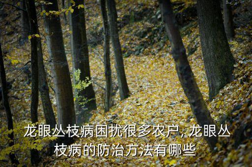 龍眼噴什么農藥的季節,龍眼一般在什么季節成熟