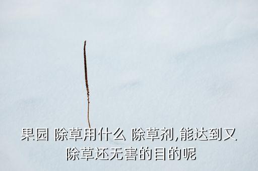 果園 除草用什么 除草劑,能達(dá)到又 除草還無(wú)害的目的呢