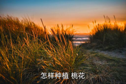 桃花盛開該噴什么農(nóng)藥,桃花完全盛開像什么