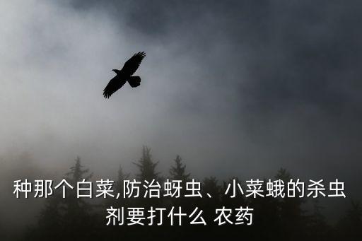 大慶有蛾用什么農藥,小葉蛾打什么農藥