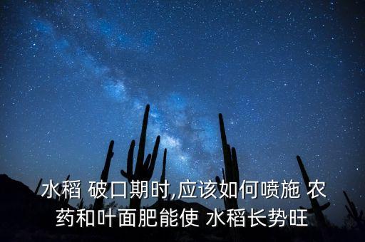 水稻 破口期時,應該如何噴施 農藥和葉面肥能使 水稻長勢旺