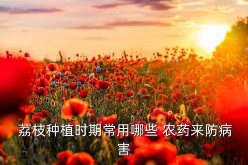 荔枝保花什么農藥最好,荔枝用什么農藥殺稍
