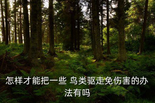 什么農(nóng)藥可以驅(qū)逐鳥類