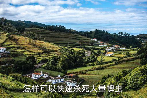 怎樣可以快速殺死大量蜱蟲