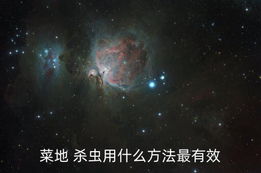 農(nóng)戶用什么農(nóng)藥殺蟲藥品,什么農(nóng)藥殺蟲效果好期又長(zhǎng)