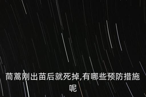 茼蒿剛出苗后就死掉,有哪些預防措施呢