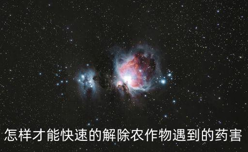 怎樣才能快速的解除農(nóng)作物遇到的藥害