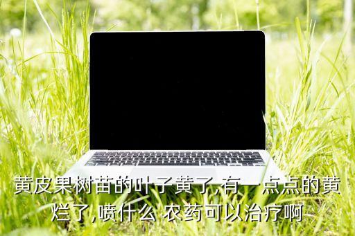 黃葉病噴什么農藥好,黃葉一噴綠是農藥嗎