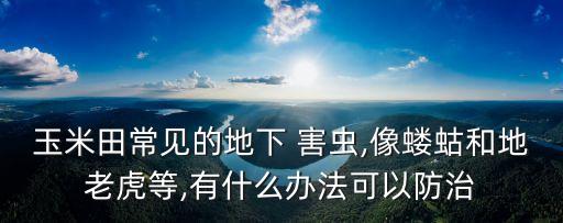 農藥連勝是防什么害蟲的