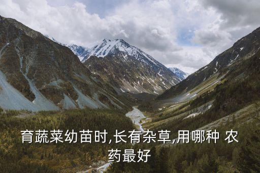 育蔬菜幼苗時,長有雜草,用哪種 農藥最好