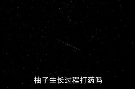 柚子套袋前用什么農(nóng)藥