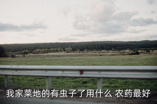 噴農藥噴什么最好,蔬菜噴農藥在什么時候最好