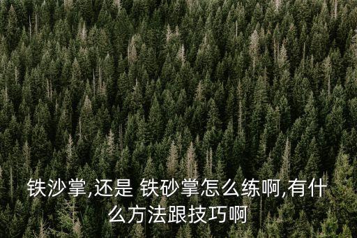 鐵沙掌,還是 鐵砂掌怎么練啊,有什么方法跟技巧啊