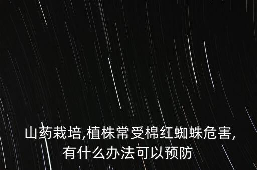 給山藥噴農藥噴什么藥,青菜噴農藥什么時間噴好