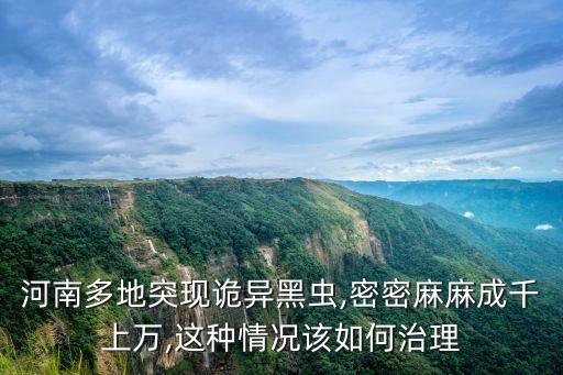 河南多地突現詭異黑蟲,密密麻麻成千上萬,這種情況該如何治理