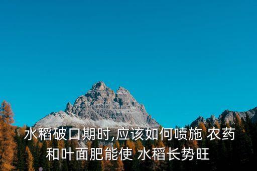 早期水稻噴什么農藥,水稻噴多農藥有重金屬的嗎