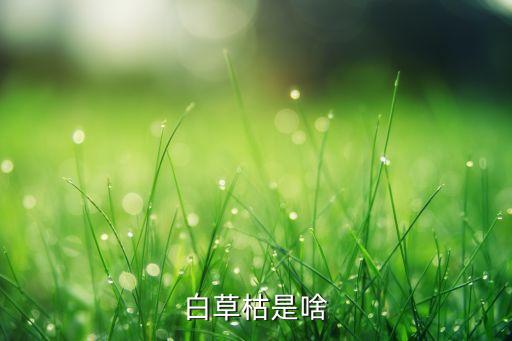 白草枯是啥