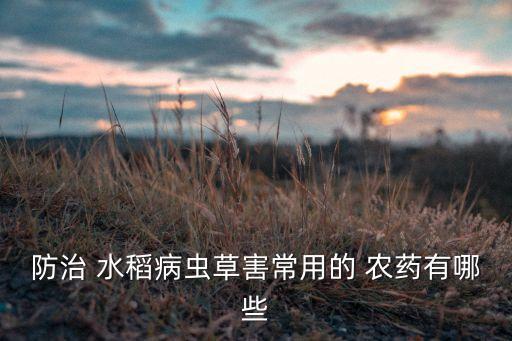防治 水稻病蟲草害常用的 農藥有哪些