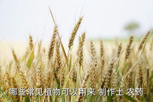 制作農藥需要什么,什么元素用于制作農藥