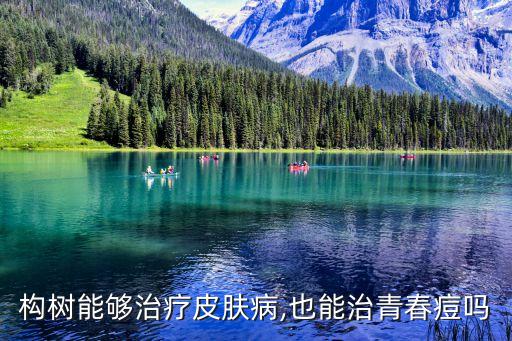 構樹能夠治療皮膚病,也能治青春痘嗎