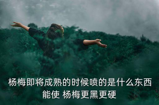 楊梅用什么農藥亞買,楊梅打什么農藥不掉