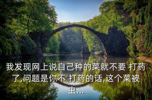 我發現網上說自己種的菜就不要 打藥了,問題是你不 打藥的話,這個菜被蟲...