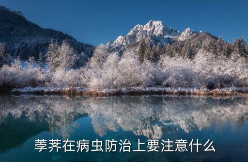 荸薺在病蟲防治上要注意什么